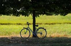 dintorni bici2