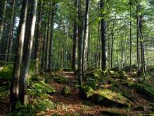 dintorni parco