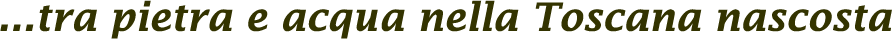 logo con macina e scritta